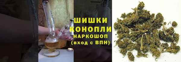 стаф Богородск