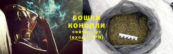дживик Ростов