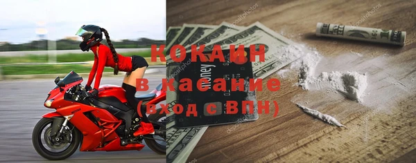 стаф Богородск